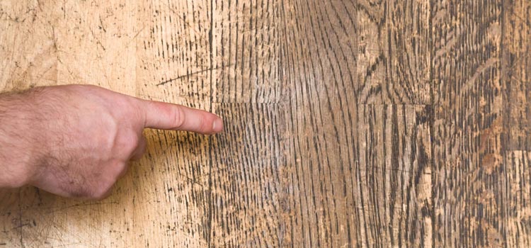 Wood Door Scratch Repair in Soquel